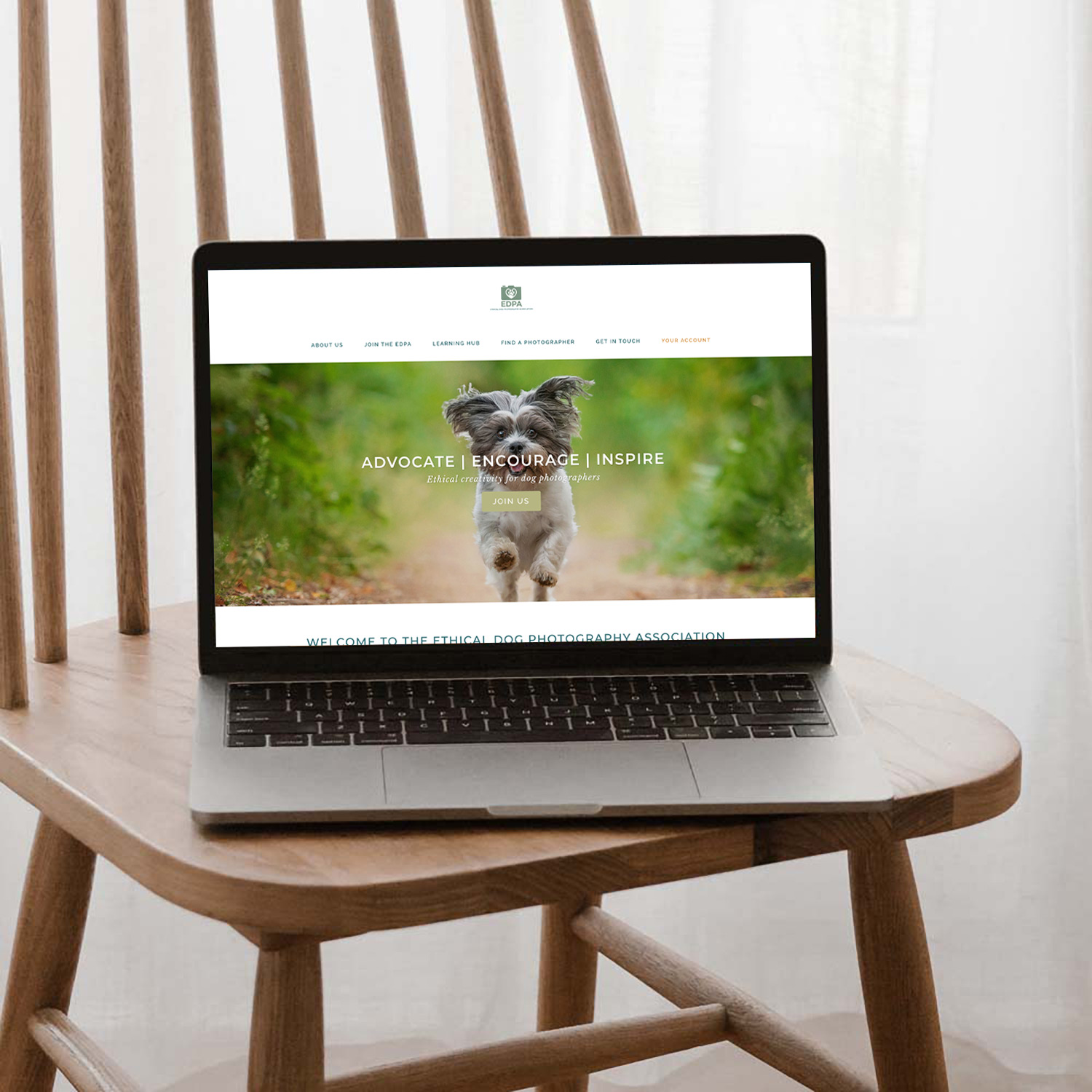 Dog Photographers website custom website design