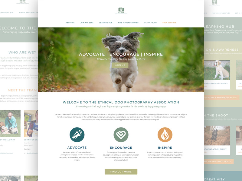 Ethical Dog Photography Association website thumbails